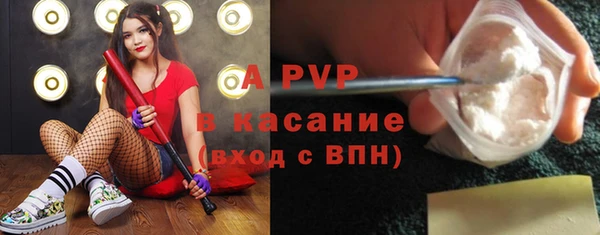 амф Надым