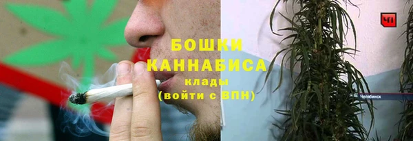 амф Надым