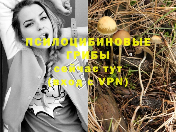 прущие крисы Наволоки